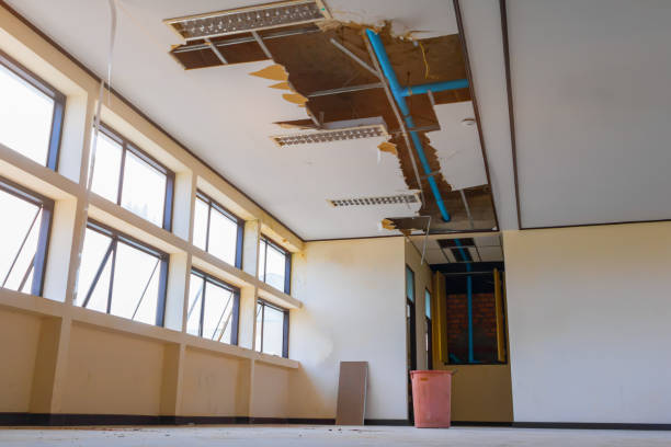 Best Sewage cleanup and water damage restoration  in Jeffersonville, IN