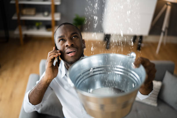Best Basement water damage restoration  in Jeffersonville, IN