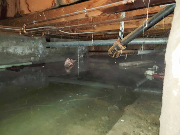 Best Fire Damage Restoration  in Jeffersonville, IN