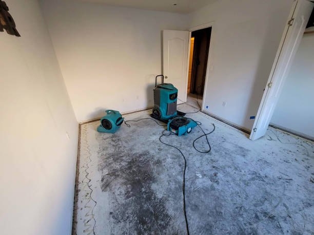 Best Commercial water damage restoration  in Jeffersonville, IN