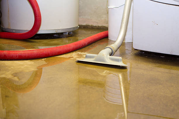 Best Flood restoration services  in Jeffersonville, IN