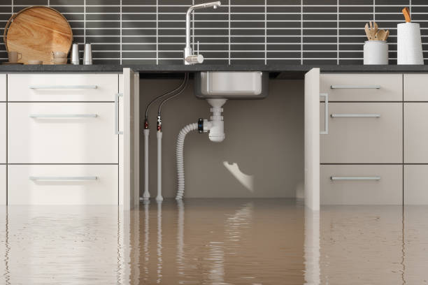 Best Water damage restoration insurance claims  in Jeffersonville, IN