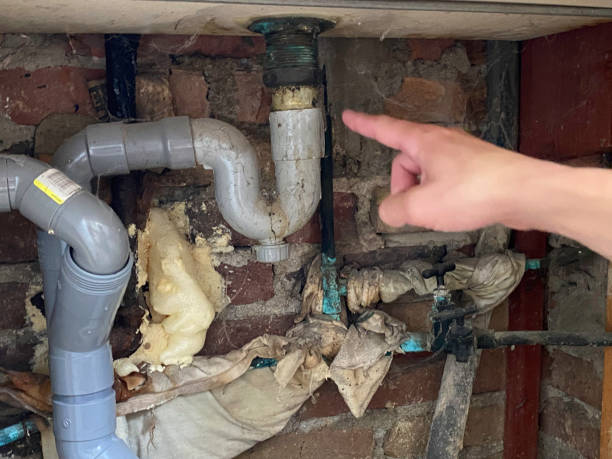 Water damage restoration mold remediation in Jeffersonville, IN