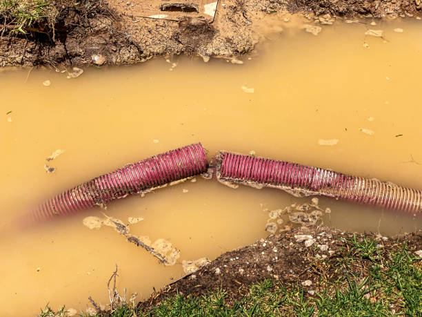 Best Emergency water damage restoration  in Jeffersonville, IN