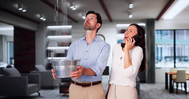 Best Water damage cleanup near me  in Jeffersonville, IN