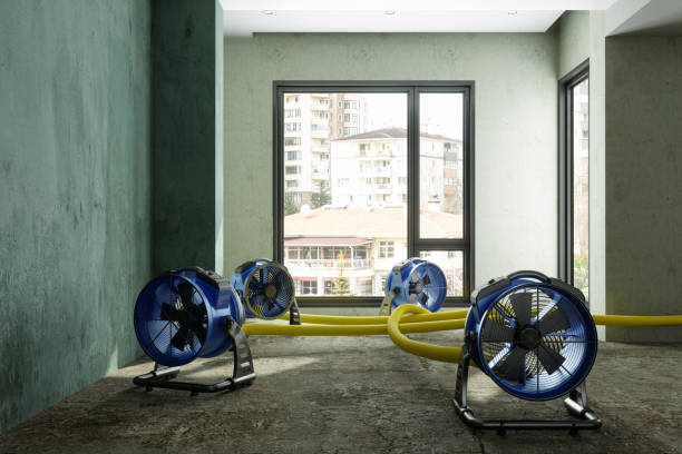 Best Ceiling water damage repair  in Jeffersonville, IN