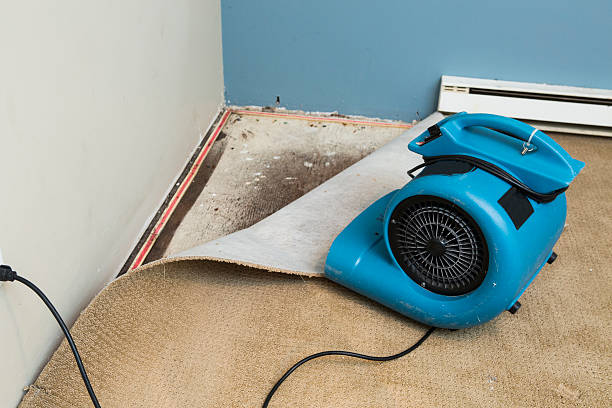  Jeffersonville, IN Water damage restoration Pros